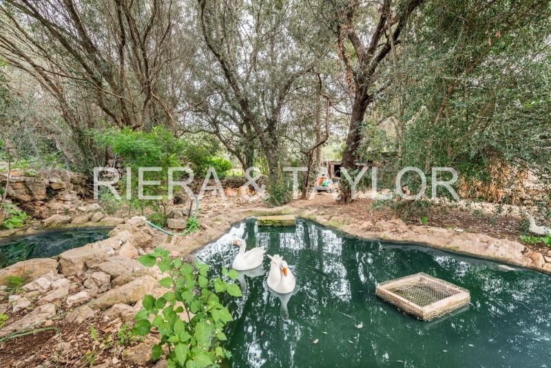 5 soveværelse Finca/Landehus til salg i Son Macia - € 1.225.000 (Ref: 8835797)