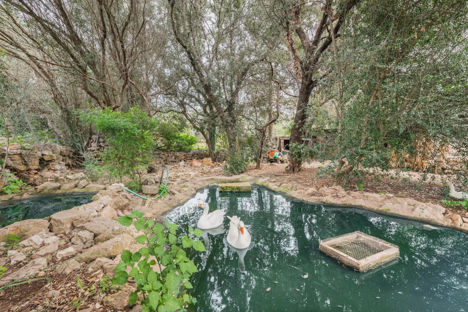 5 soveværelse Finca/Landehus til salg i Son Macia med swimmingpool - € 1.225.000 (Ref: 8835797)