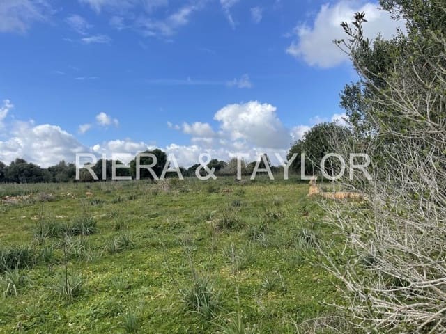 Finka/Dom wiejski na sprzedaż w S'Illot, Sant Llorenç des Cardassar - 375 000 € (Ref: 8837042)