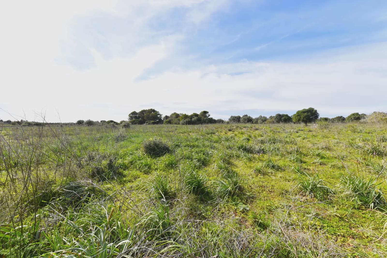 Finka/Dom wiejski na sprzedaż w S'Illot - 375 000 € (Ref: 8837042)