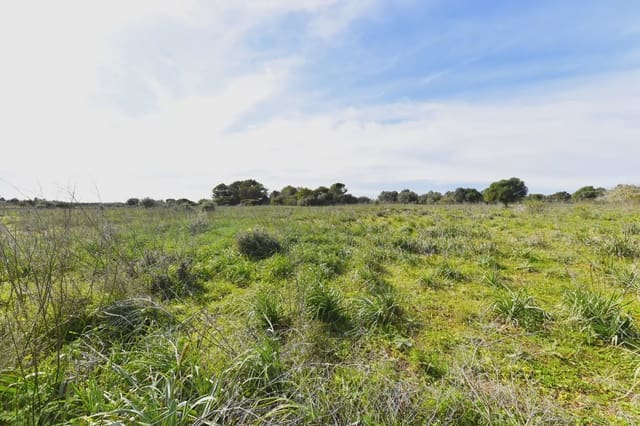 Finca/Landhuis te koop in S'Illot, Sant Llorenç des Cardassar - € 375.000 (Ref: 8837042)