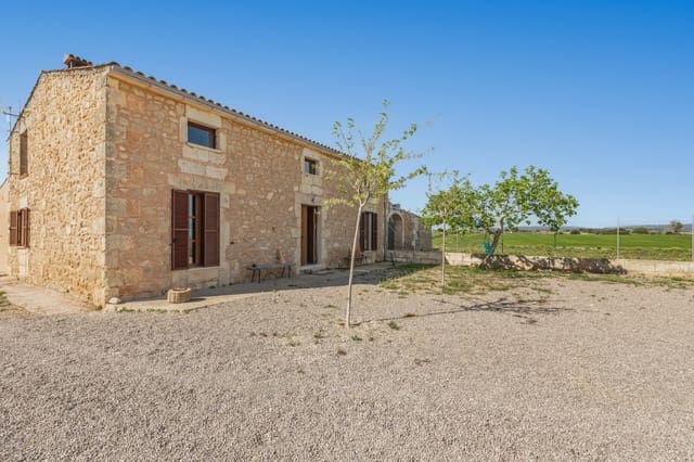 4 soveværelse Finca/Landehus til salg i Petra - € 700.000 (Ref: 8839333)