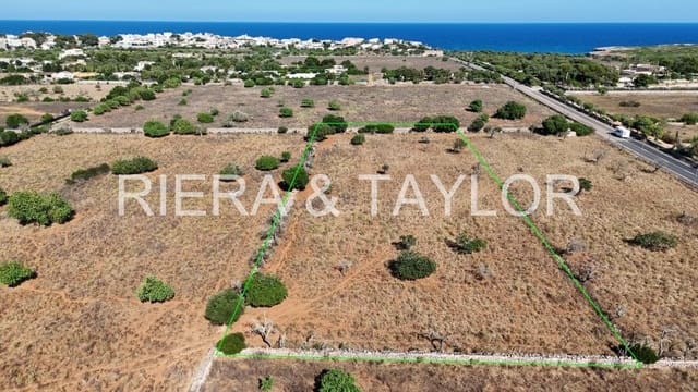 Undeveloped Land for sale in Portocristo / Port de Manacor, Manacor - € 50,000 (Ref: 8867537)