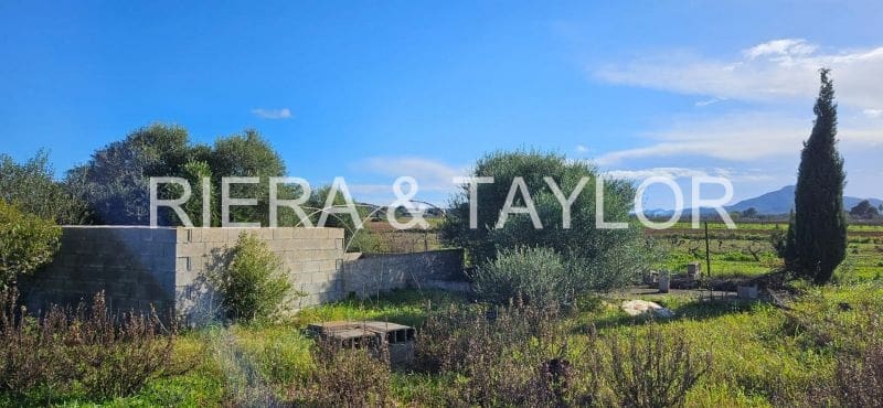 Ubebygd land til salgs i Felanitx - € 24 000 (Ref: 8867538)