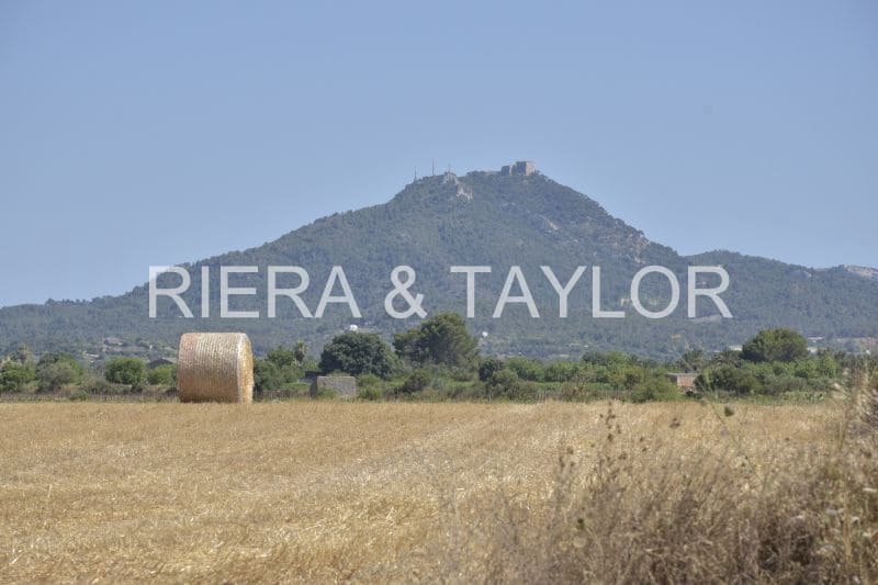 Ubebygd land til salgs i Felanitx - € 24 000 (Ref: 8867538)