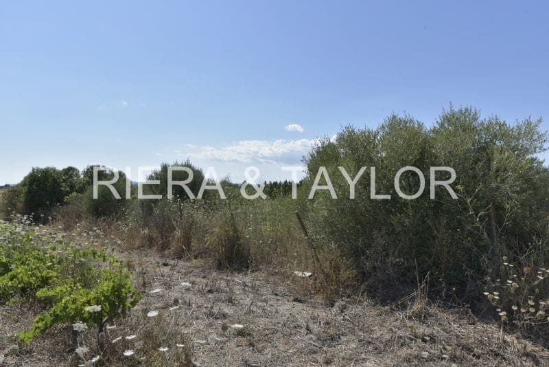 Ubebygd land til salgs i Felanitx - € 24 000 (Ref: 8867538)