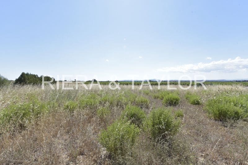 Ubebygd land til salgs i Felanitx - € 24 000 (Ref: 8867538)