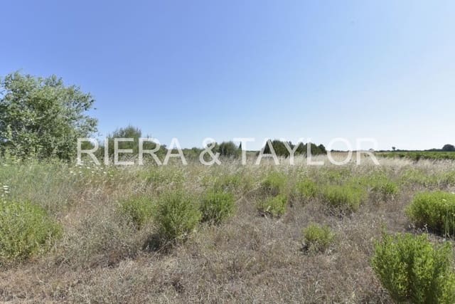 Teren niezagospodarowany na sprzedaż w Felanitx - 24 000 € (Ref: 8867538)