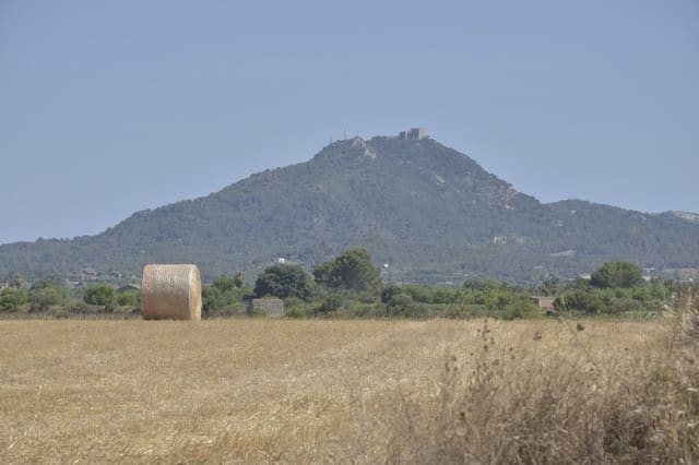 Mark till salu i Felanitx - 24 000 € (Ref: 8867538)