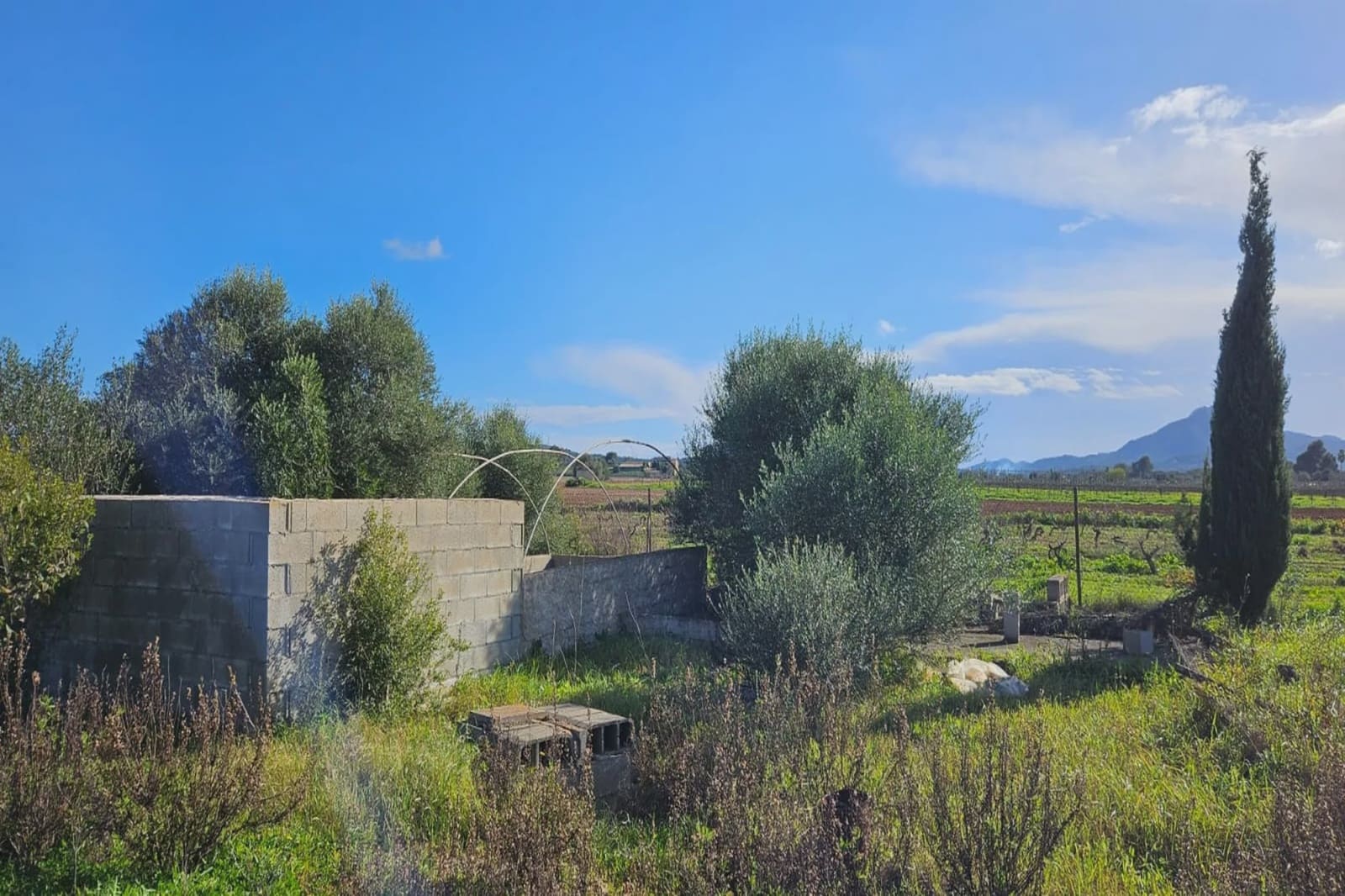 Undeveloped Land for sale in Felanitx - € 24,000 (Ref: 8867538)