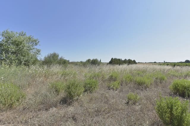 Mark till salu i Felanitx - 24 000 € (Ref: 8867538)