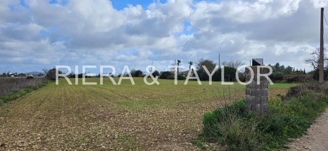 Undeveloped Land for sale in Manacor - € 40,000 (Ref: 8867539)