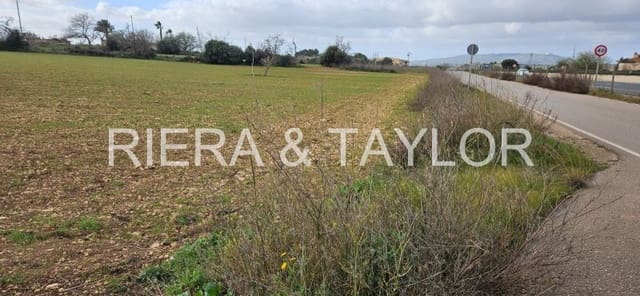 Undeveloped Land for sale in Manacor - € 40,000 (Ref: 8867539)