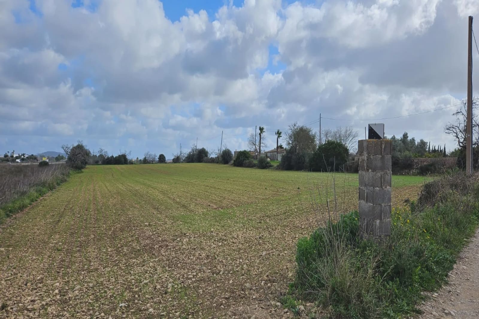 Undeveloped Land for sale in Manacor - € 40,000 (Ref: 8867539)