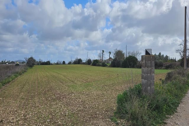 Grunde uden byggetilladelser til salg i Manacor - € 40.000 (Ref: 8867539)