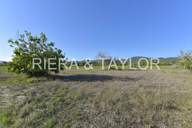 Undeveloped Land for sale in Manacor - € 210,000 (Ref: 8906872)