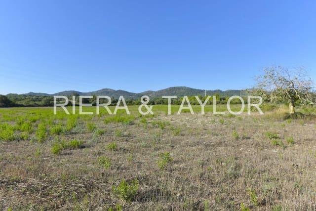 Undeveloped Land for sale in Manacor - € 210,000 (Ref: 8906872)