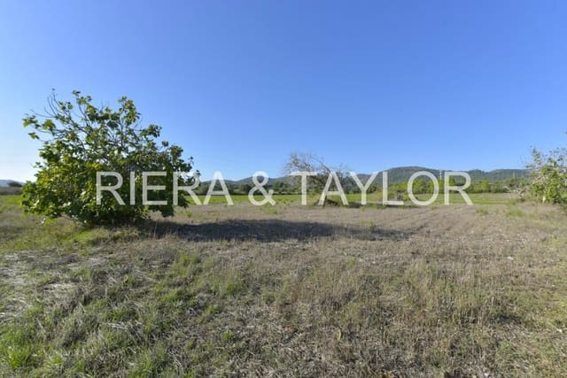 Undeveloped Land for sale in Manacor - € 210,000 (Ref: 8906872)