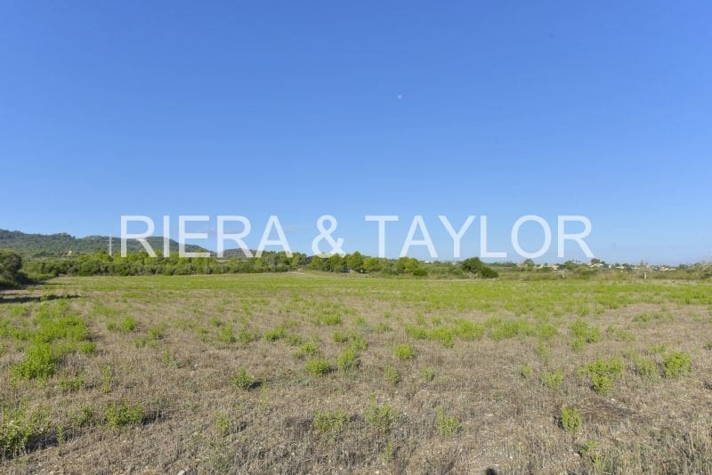 Undeveloped Land for sale in Manacor - € 210,000 (Ref: 8906872)