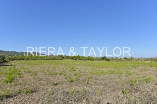 Undeveloped Land for sale in Manacor - € 210,000 (Ref: 8906872)