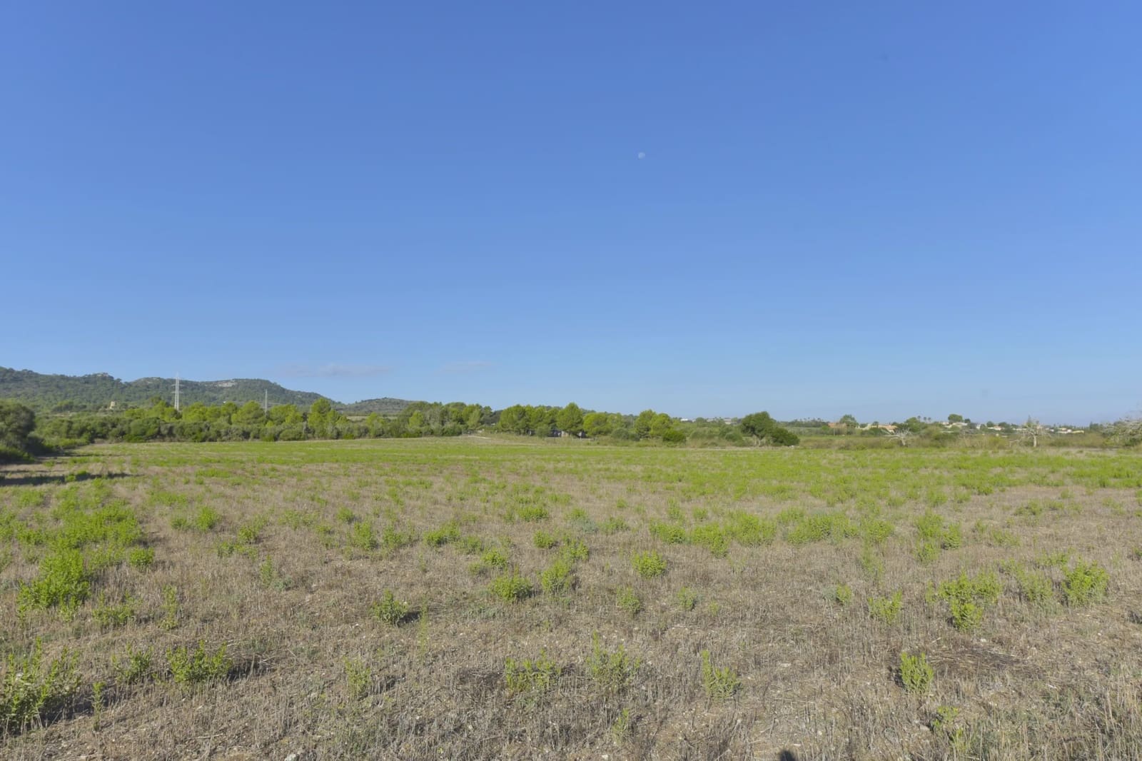 Undeveloped Land for sale in Manacor - € 210,000 (Ref: 8906872)
