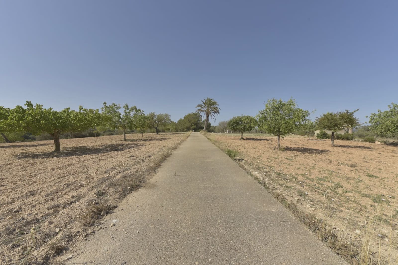 3 bedroom Finca/Country House for sale in Manacor - € 550,000 (Ref: 8917273)