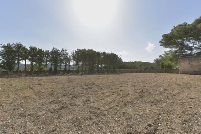 3 slaapkamer Finca/Landhuis te koop in Manacor - € 550.000 (Ref: 8917273)