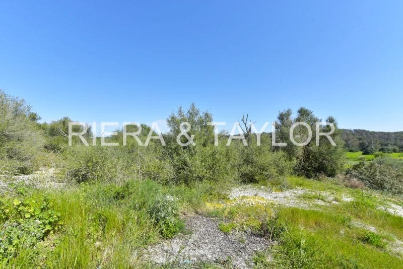 Mark till salu i Sant Joan - 19 000 € (Ref: 8917446)