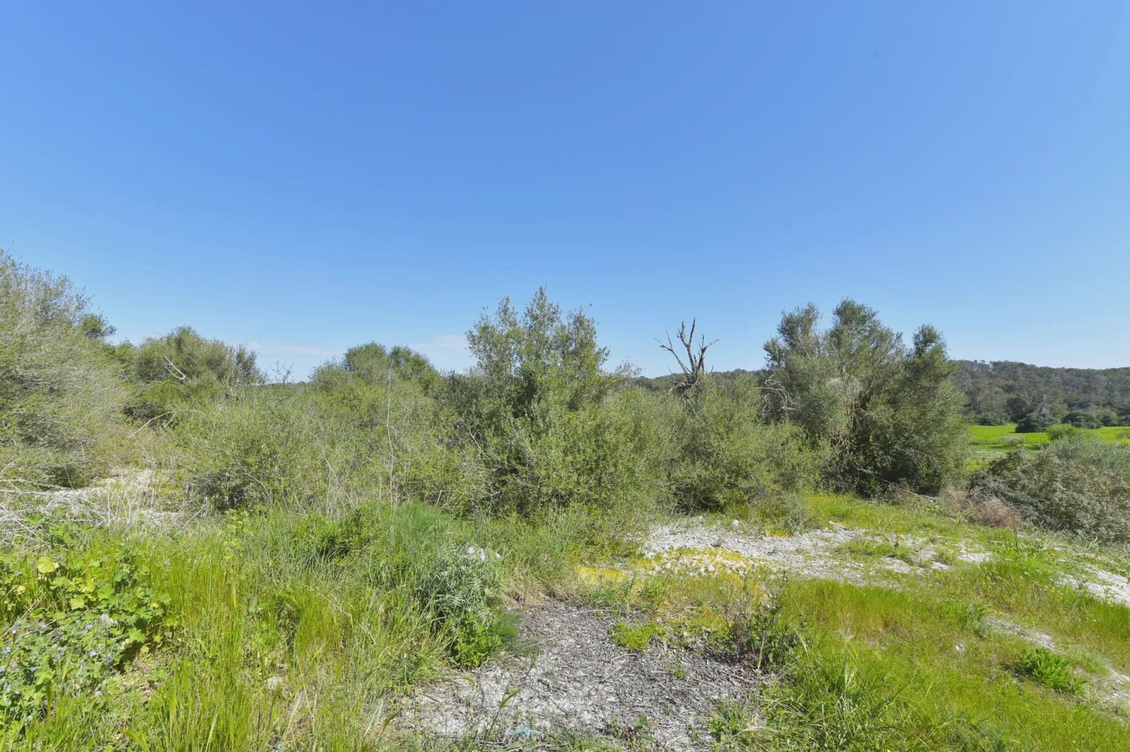 Landgrundstück zu verkaufen in Sant Joan - 19.000 € (Ref: 8917446)