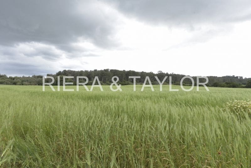 Grunde uden byggetilladelser til salg i Sineu - € 212.000 (Ref: 8933259)