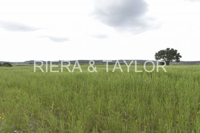 Undeveloped Land for sale in Sineu - € 212,000 (Ref: 8933259)