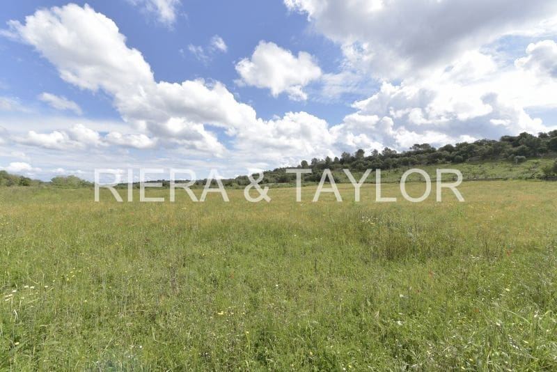 Grunde uden byggetilladelser til salg i Ariany - € 109.000 (Ref: 8933472)