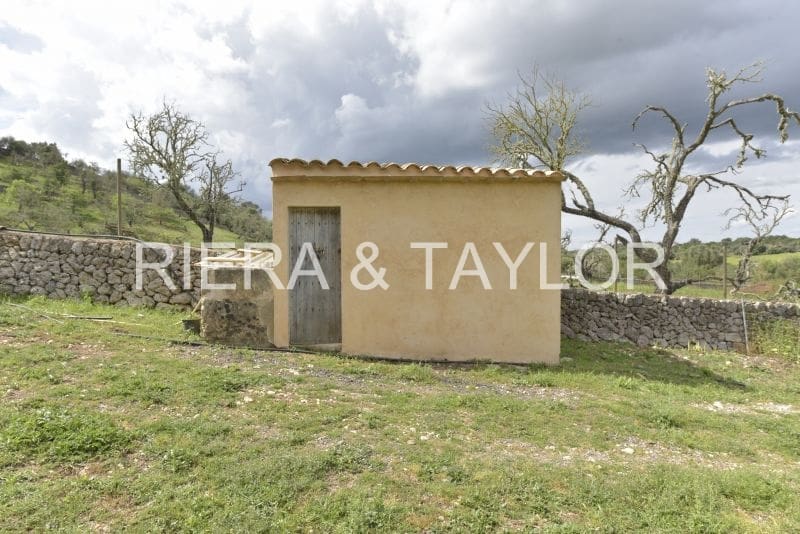 Grunde uden byggetilladelser til salg i Ariany - € 109.000 (Ref: 8933472)