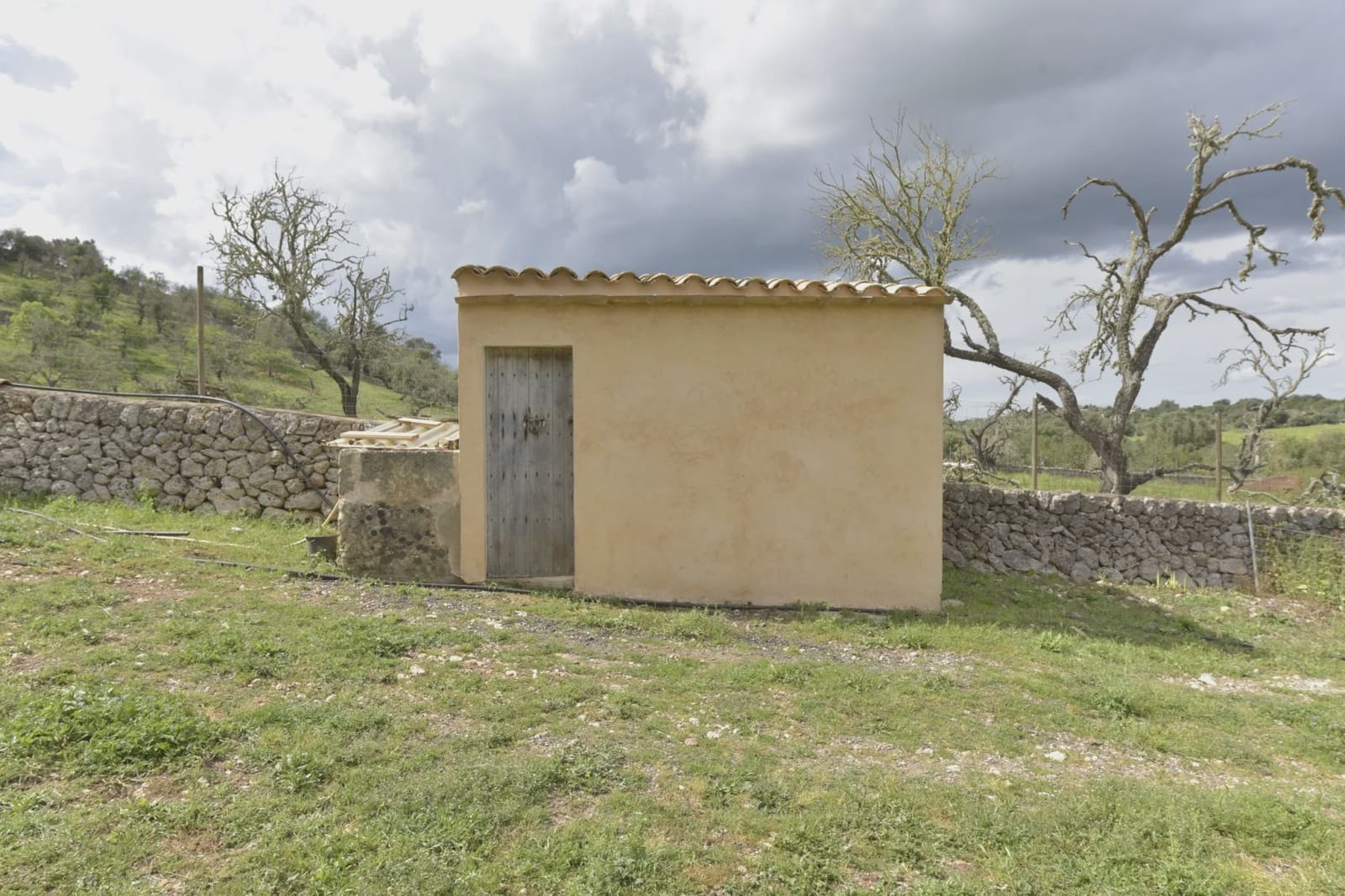 Mark till salu i Ariany - 109 000 € (Ref: 8933472)