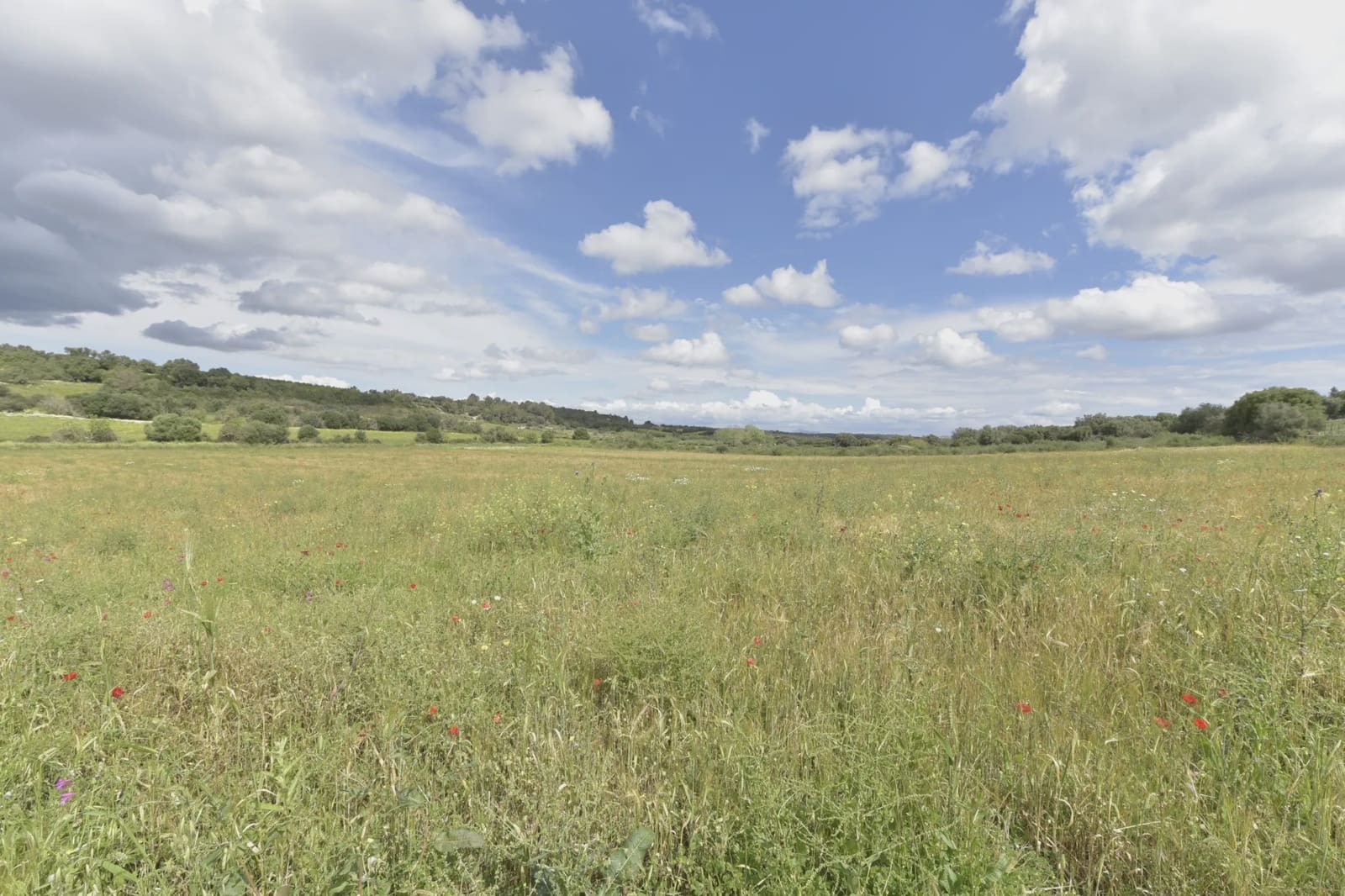 Mark till salu i Ariany - 109 000 € (Ref: 8933472)