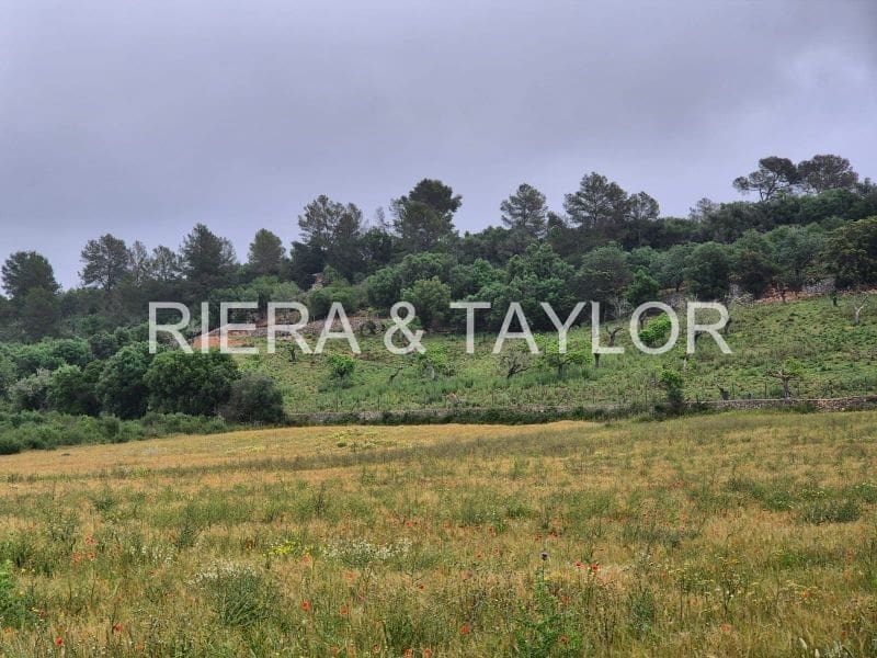 Grunde uden byggetilladelser til salg i Ariany - € 307.000 (Ref: 8933473)