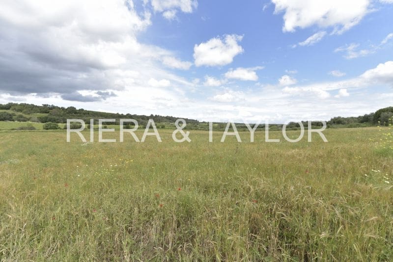 Grunde uden byggetilladelser til salg i Ariany - € 307.000 (Ref: 8933473)