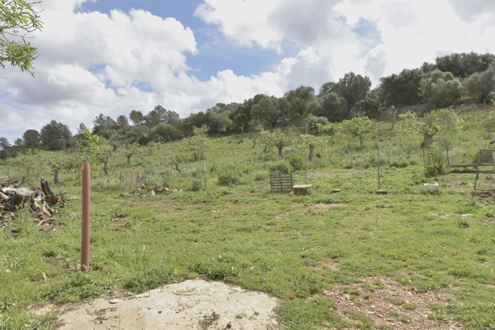 Undeveloped Land for sale in Ariany - € 307,000 (Ref: 8933473)