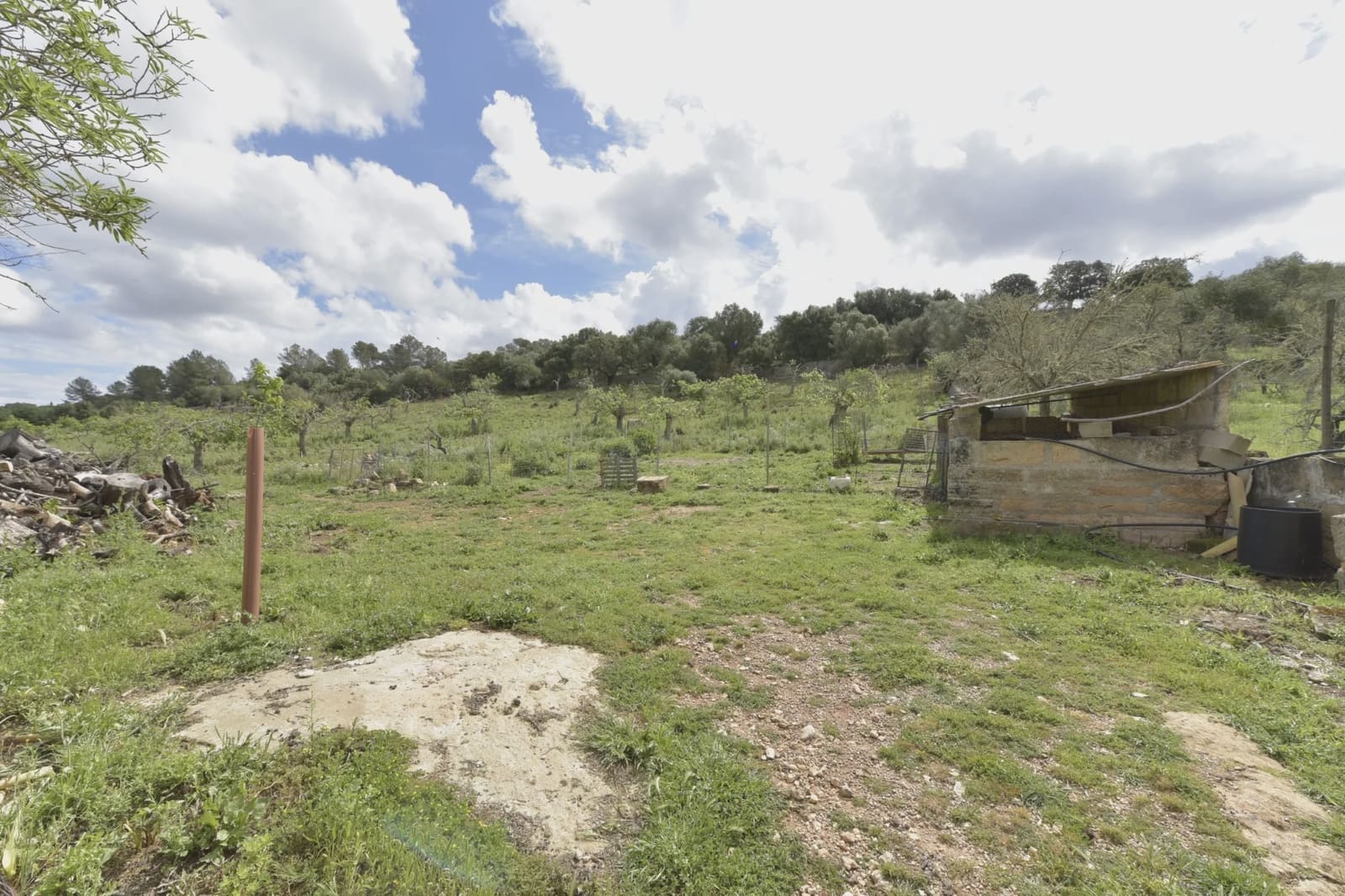 Undeveloped Land for sale in Ariany - € 307,000 (Ref: 8933473)