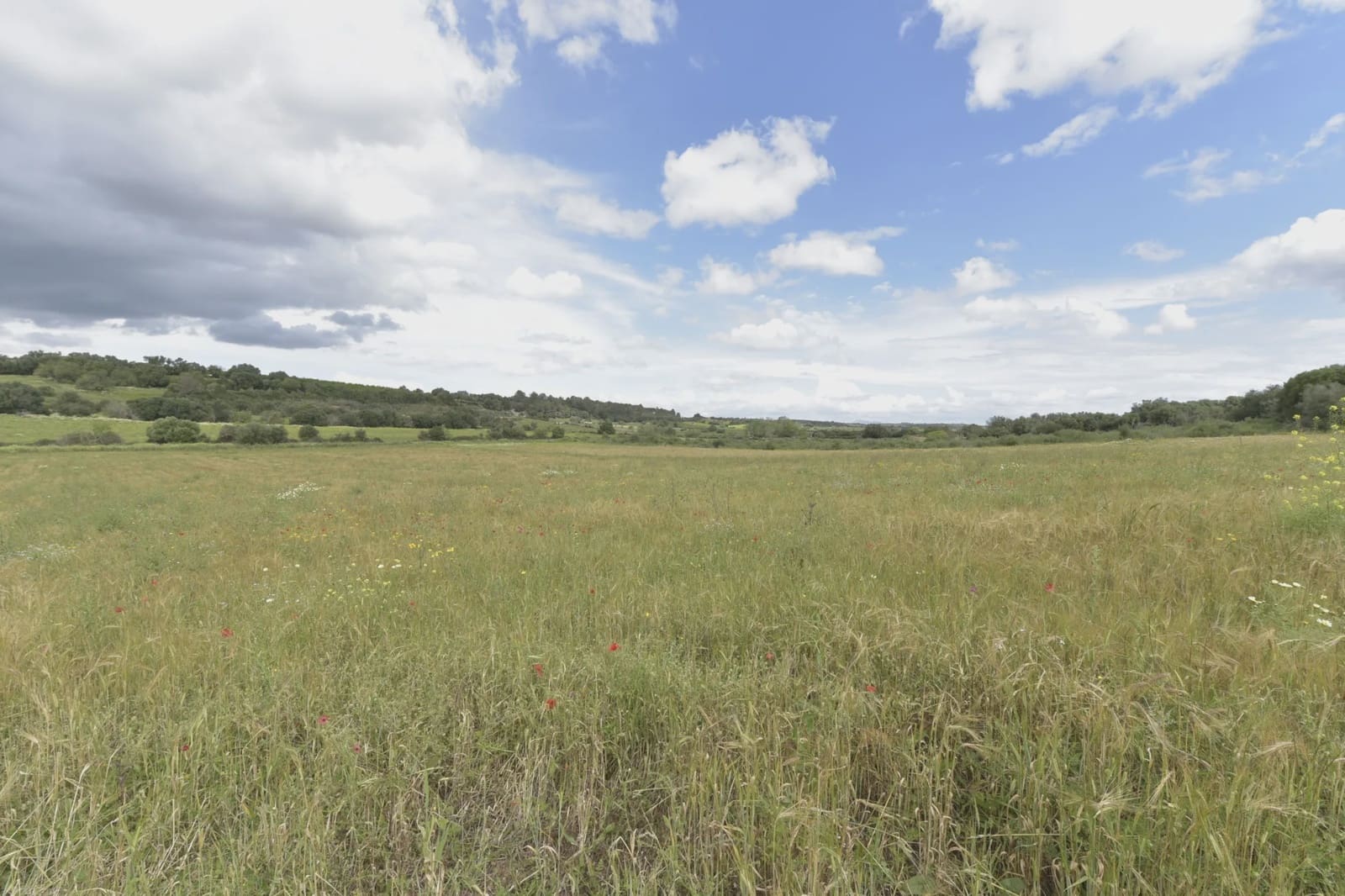 Undeveloped Land for sale in Ariany - € 307,000 (Ref: 8933473)