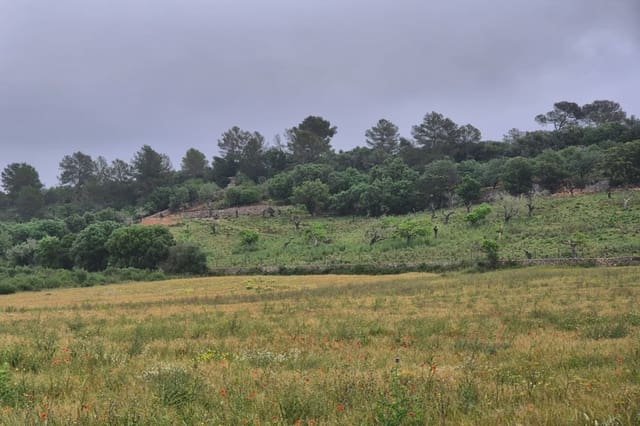 Rakentamaton maa myytävänä paikassa Ariany - 307 000 € (Ref: 8933473)