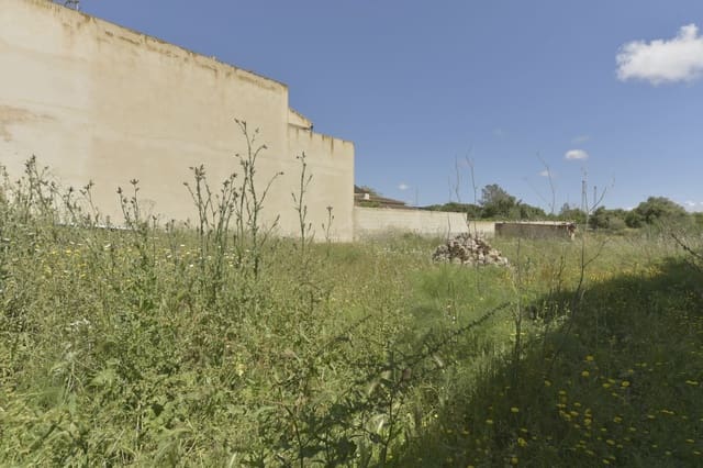 Tomt till salu i Ariany - 314 900 € (Ref: 8944818)