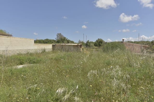 Tomt till salu i Ariany - 314 900 € (Ref: 8944818)