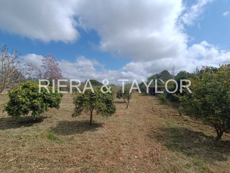 Mark till salu i Manacor - 56 000 € (Ref: 8960385)