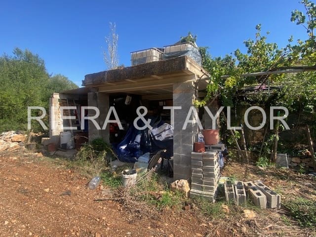 Mark till salu i Manacor - 56 000 € (Ref: 8960385)