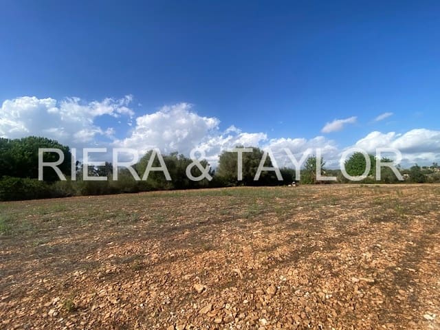 Mark till salu i Manacor - 56 000 € (Ref: 8960385)