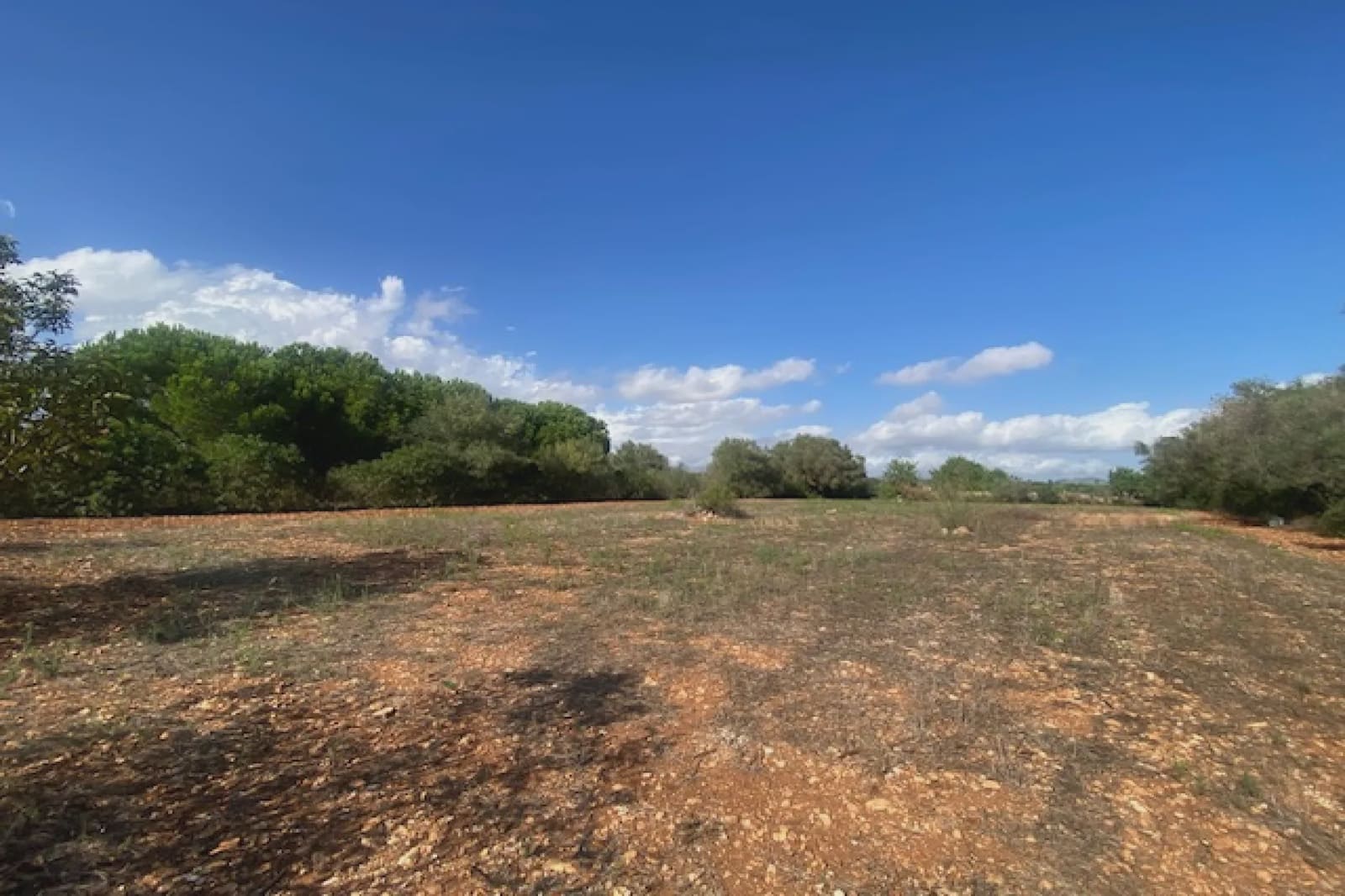 Undeveloped Land for sale in Manacor - € 56,000 (Ref: 8960385)