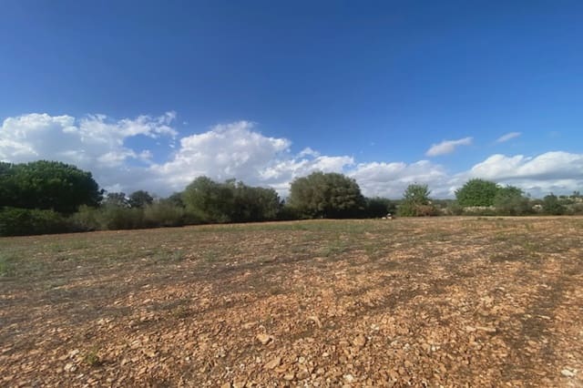 Grunde uden byggetilladelser til salg i Manacor - € 56.000 (Ref: 8960385)