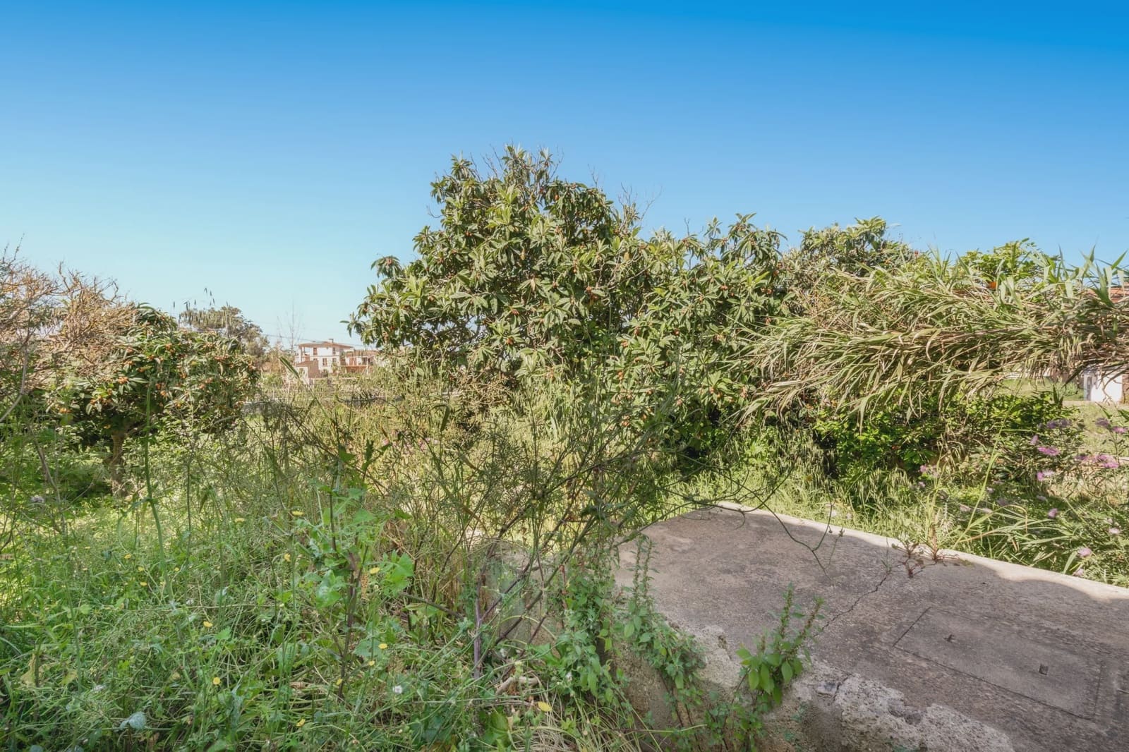 3 bedroom Townhouse for sale in Sant Llorenc des Cardassar - € 450,000 (Ref: 8976568)