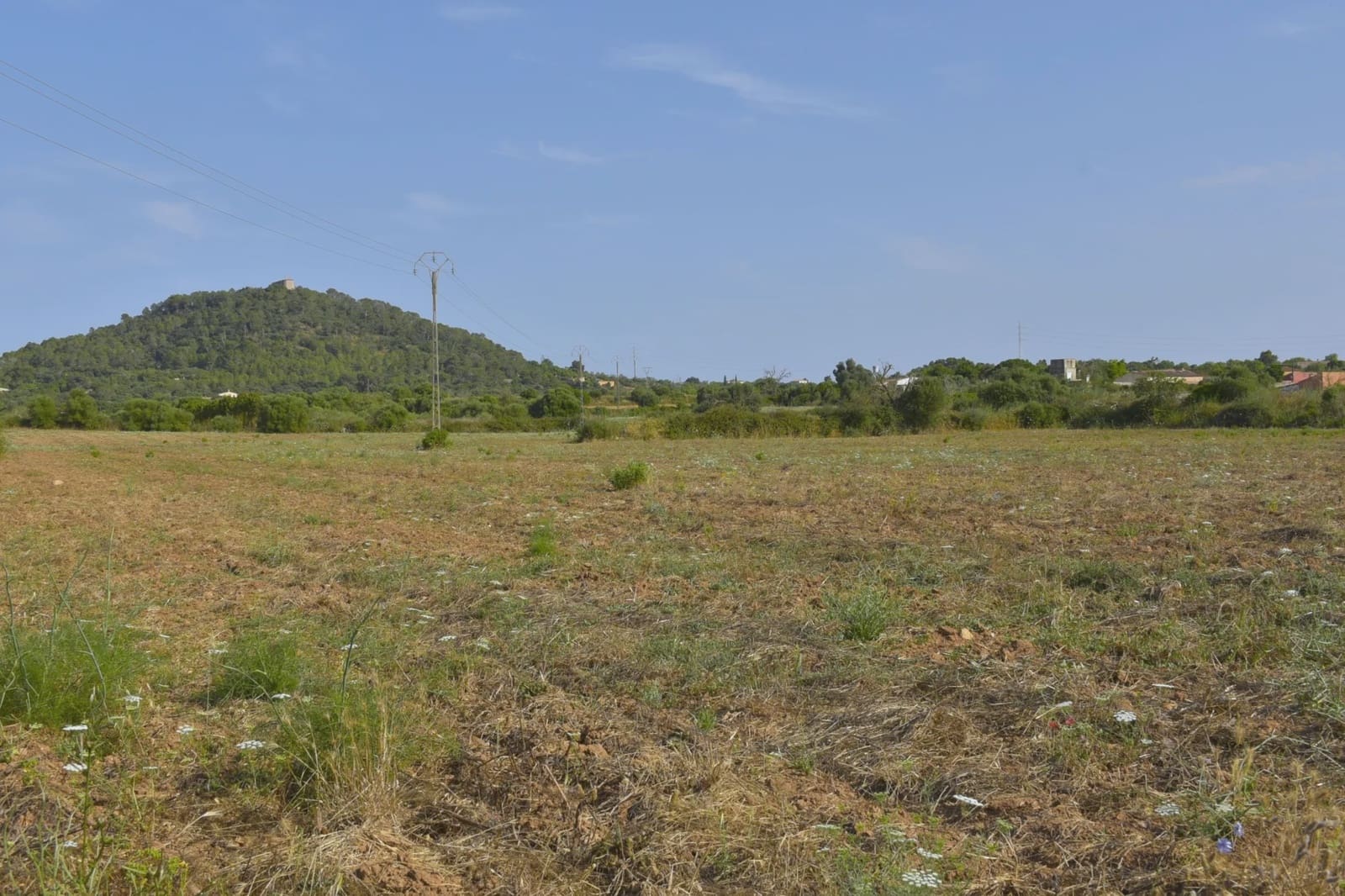 Undeveloped Land for sale in Manacor - € 240,000 (Ref: 9000196)